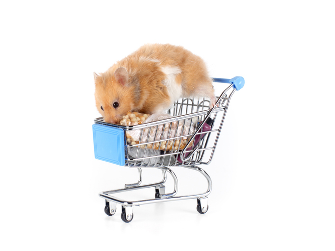 Hamsterkauf